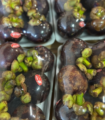 20b01aea-fd74-44da-8c1b-18414a7b87eb