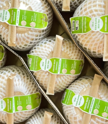 f77d183f-04be-4b2a-8547-1015b955a599